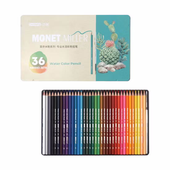 Professional 24 36 48 72 Color Caja de hierro opcional Empaquetado Lápiz de color soluble en agua